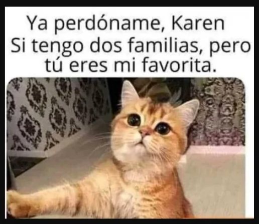 Instagram 2020: el año en memes 1 Captura de pantalla 2020 12 25 a las 12.56.43 p.m.
