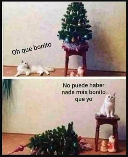 Instagram 2020: el año en memes 2 Captura de pantalla 2020 12 25 a las 12.57.02 p.m.