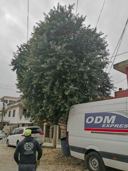 Atienden en Ciudad Madero llamado de ciudadanía por frente frío 1 Ciudad Madero frente frio 1