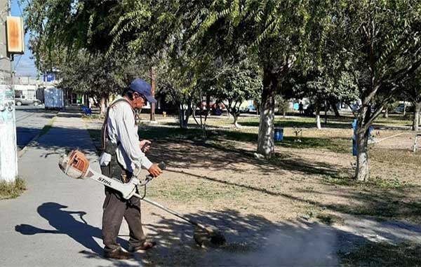Rehabilitan en Reynosa áreas verdes de plazas públicas 1 REYNOSA 1