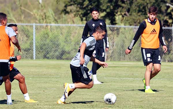 TIGRES