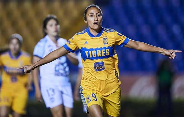 TIGRES