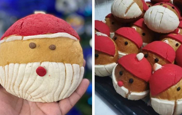santa concha