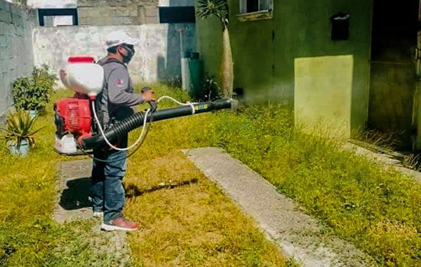 Ciudad Madero no da tregua al combate del dengue 1 02