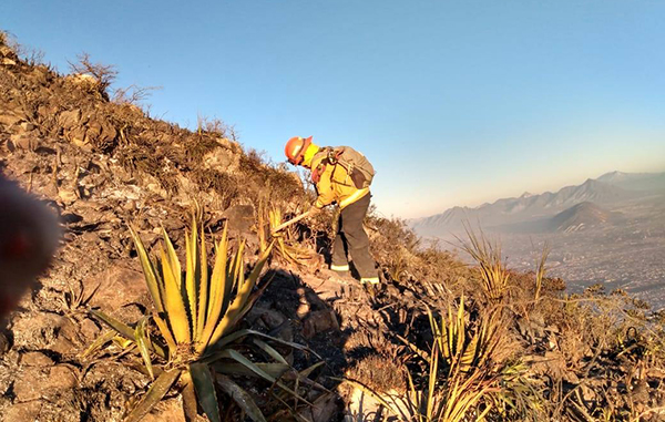 Combaten incendio en Cerro de la Silla ¡a -4 grados! 1 139977323 459858498348710 7714718230025486563 n