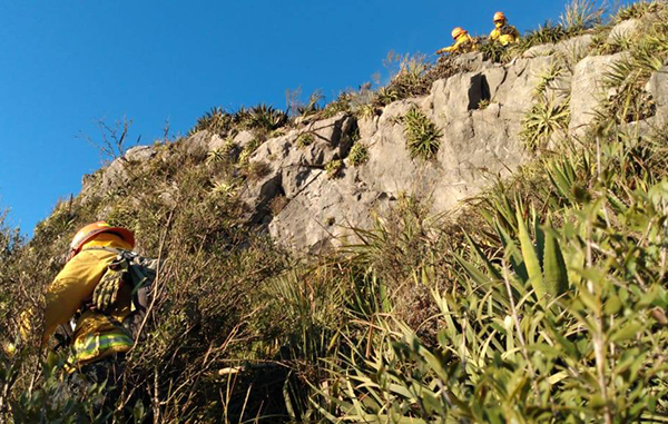 Combaten incendio en Cerro de la Silla ¡a -4 grados! 6 139989276 234604641572193 2387569769139958845 n
