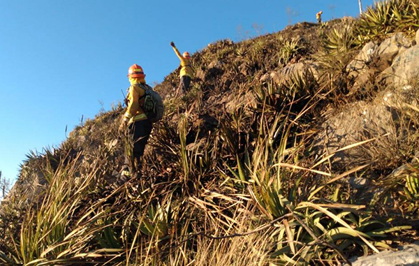 Combaten incendio en Cerro de la Silla ¡a -4 grados! 3 140352504 394574795172638 4698319383826578958 n