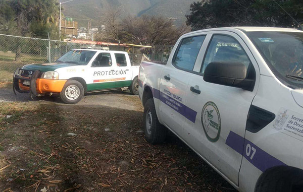 Jauría de perros en Guadalupe también atacó a rebaño de ovejas 1 141608430 900534257152644 7129685330557964727 n