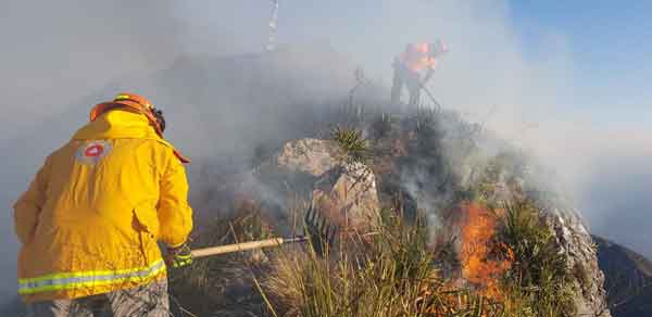 Combaten fuego ¡a mil 820 metros de altura! (VIDEO) 1 Cerro 4
