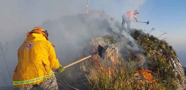 Combaten fuego ¡a mil 820 metros de altura! (VIDEO) 3 Cerro 5