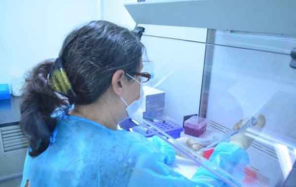 coronavirus-tamaulipas