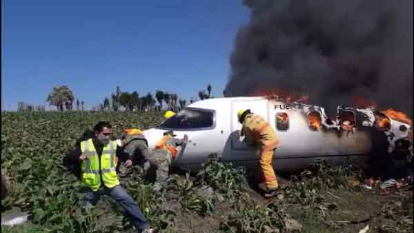 Se desploma avión de la Fuerza Aérea Mexicana; al menos seis muertos 8 9