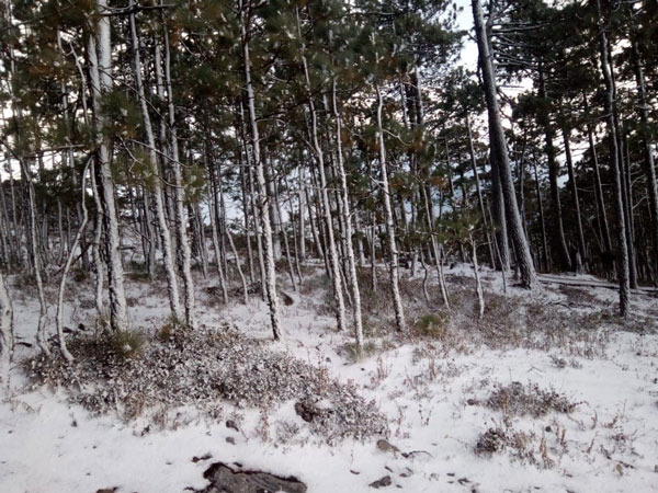 Amanece comunidad de Galeana bajo nieve 2 Galeana 1