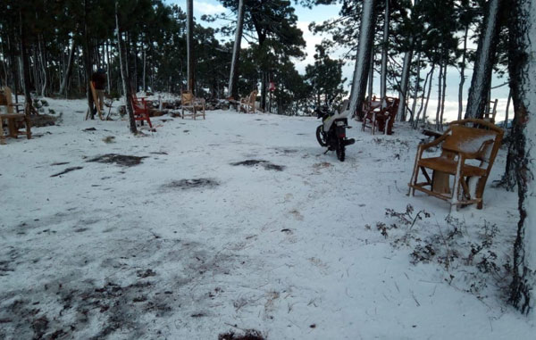 Galeana-3