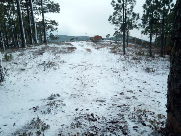 Amanece comunidad de Galeana bajo nieve 6 Galeana 7