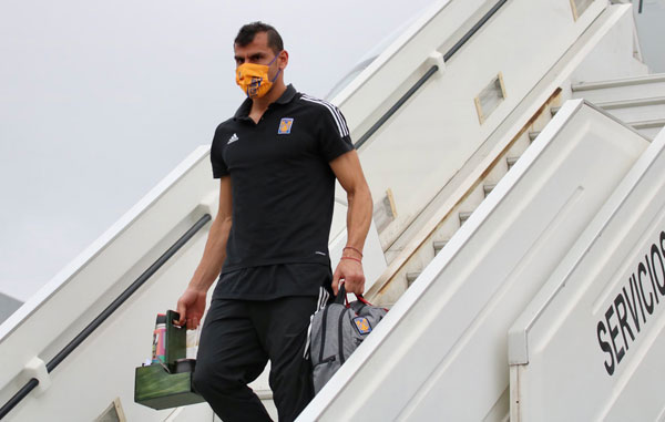 Tigres-llegan
