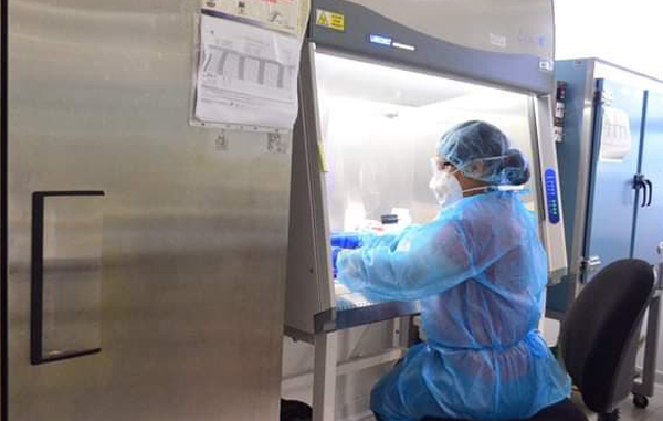 lab
