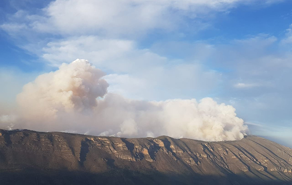 Muy grave, el incendio forestal en Sierra de Arteaga 1 161953259 472755507117046 8951251595108576463 n