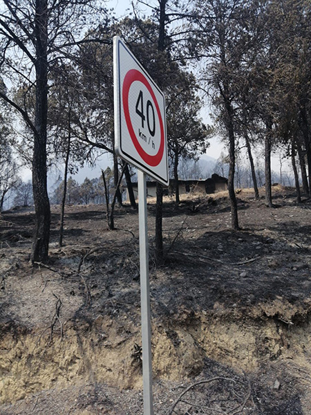 Queda la Sierra de Santiago bajo cenizas 4 162263359 768255317129529 6650285121613401544 n