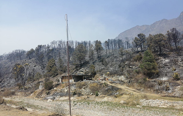 Queda la Sierra de Santiago bajo cenizas 3 162782707 265808631715911 7047244575840002609 n
