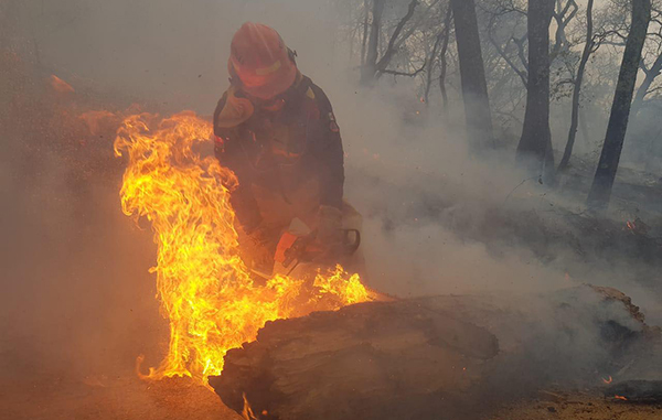 Regresan personas evacuadas a sus hogares tras incendio forestal 3 163521317 435689757490327 1342188851241633924 n