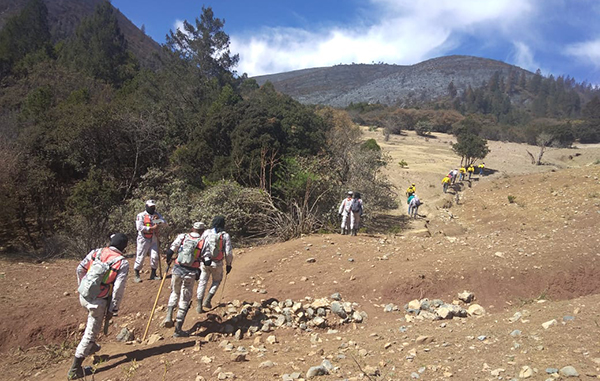 Fuertes vientos complican combate a incendios forestales 1 164332408 461877468564961 2949681795555326161 n