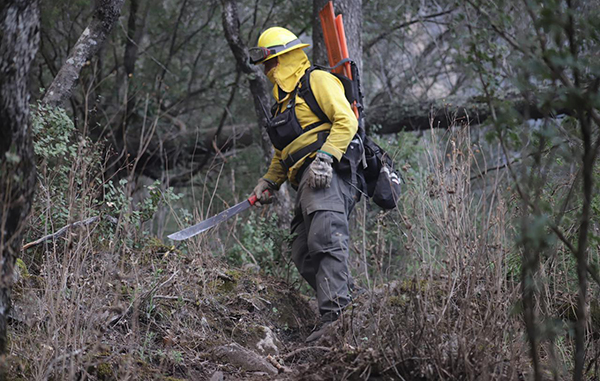 Controlan 50 por ciento del incendio en sierra de Santiago 1 165254381 1102509850263319 2470206511994278282 n