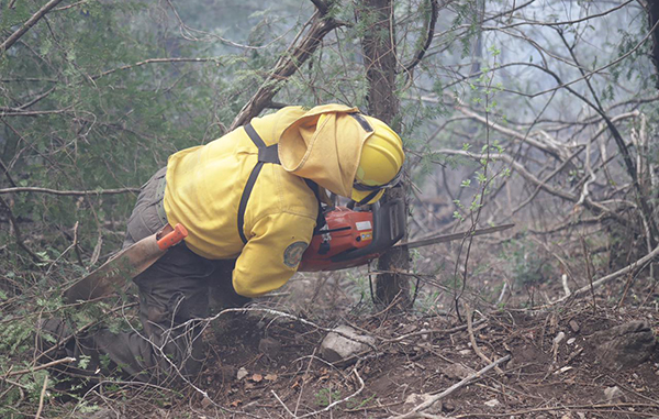 Controlan 50 por ciento del incendio en sierra de Santiago 5 165369538 431590911467712 501299801325304694 n