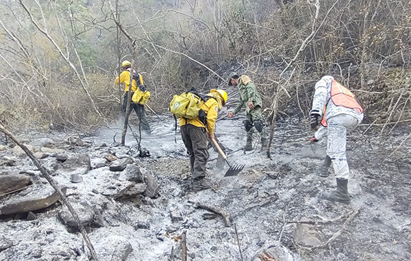 Controlan 50 por ciento del incendio en sierra de Santiago 6 165635341 351198856247466 5464157896745388150 n