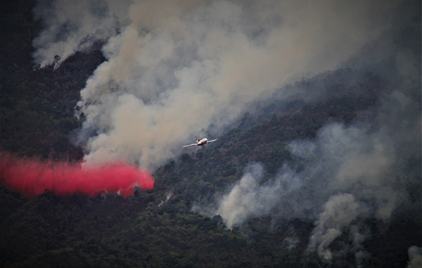 Sofocan tres incendios forestales en Nuevo León 1 166691023 1533735863498275 5154616955313210369 n