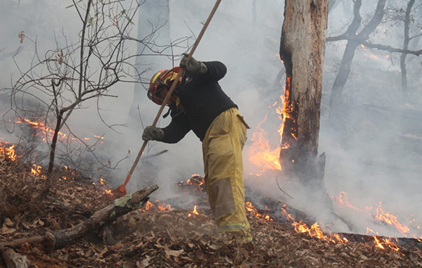 Sofocan tres incendios forestales en Nuevo León 3 166702726 139426928038749 5902157408235179202 n