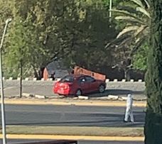 Abandonan dos muertos en parque de San Pedro 1 AUTO