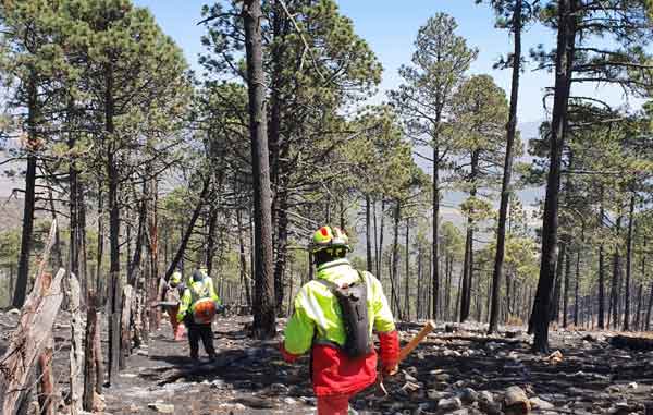 Incendios-1