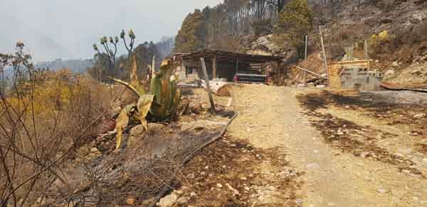 Regresan familias afectadas por incendio forestal en Santiago 1 Santiago 3