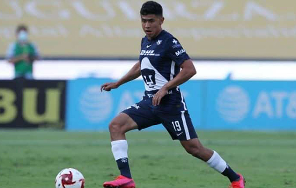 pumas