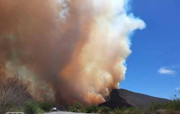 Incendio forestal afecta Tamaulipas y amenaza NL 2 176453865 307417120768820 3384513402818323408 n