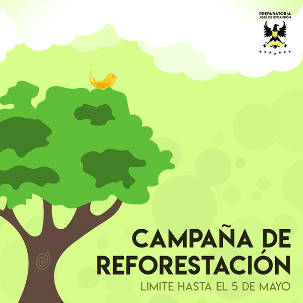 Lanzan campaña para reforestar ‘Prepa Escandón’ 1 177565101 241410571067865 2481549451835358863 n 1