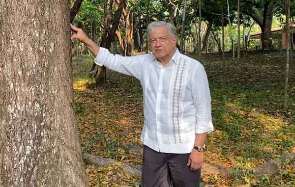 AMLO