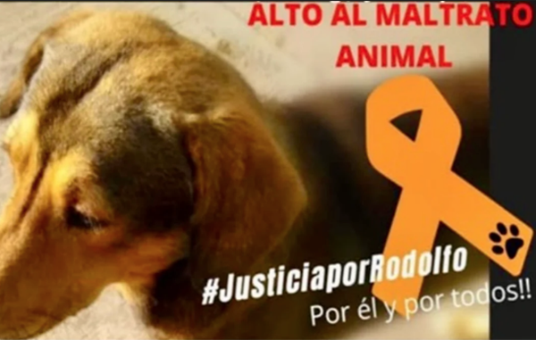 Captura de pantalla 2021-04-14 a las 11.49.13 a.m.