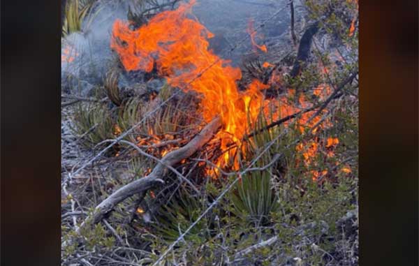 INCENDIO