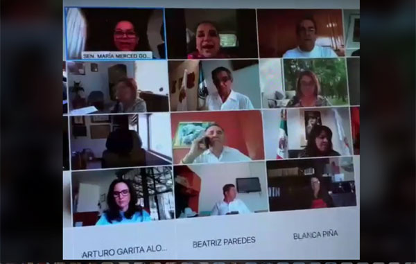 Senadora-se-equivoca
