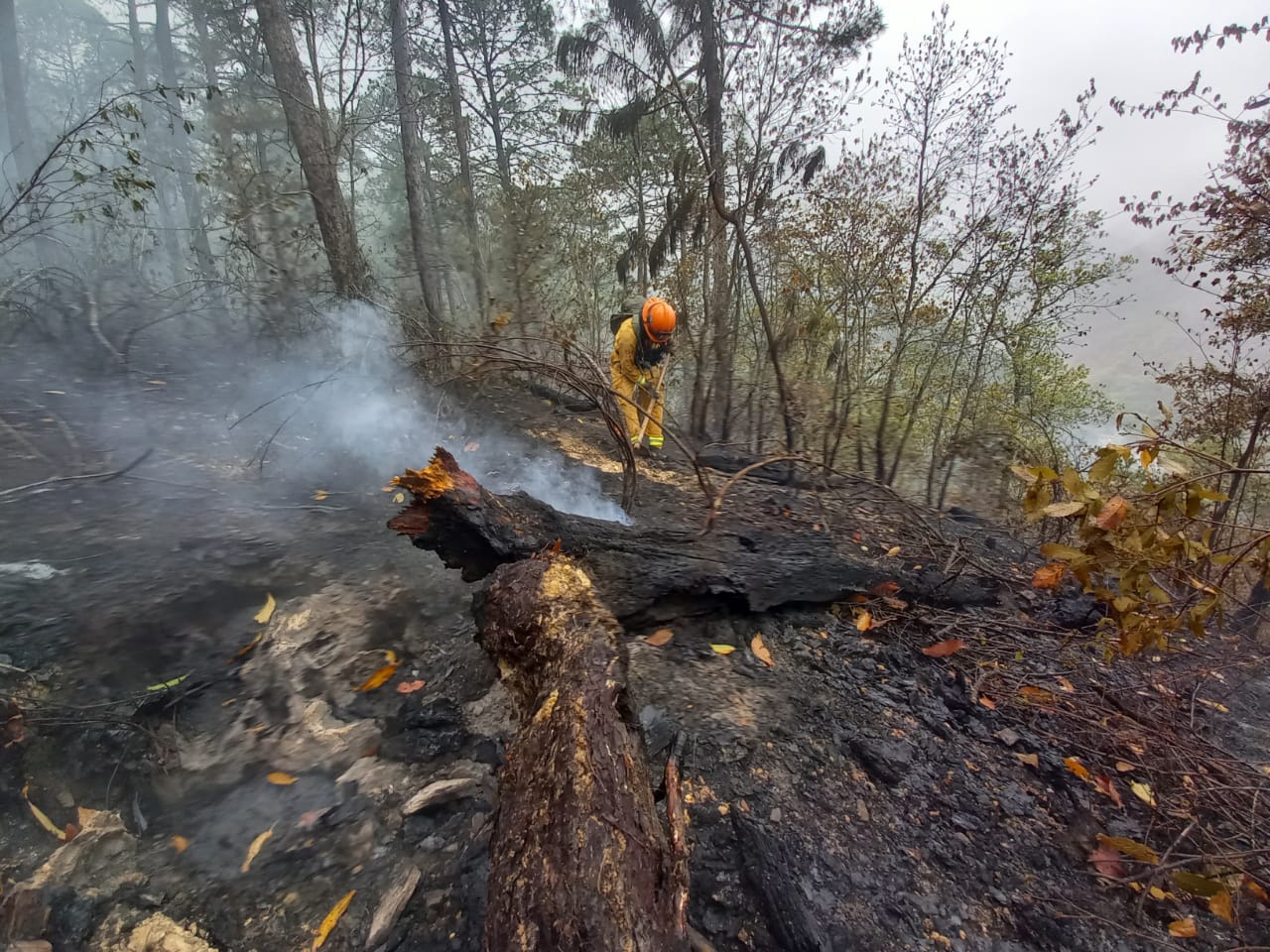 Lograron vencer incendio en la sierra de Santiago 1 WhatsApp Image 2021 04 01 at 7.15.39 PM