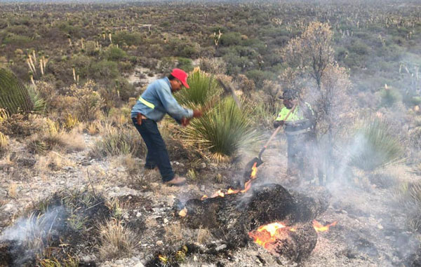 Avanza control de incendios forestales de Doctor Arroyo 1 inc
