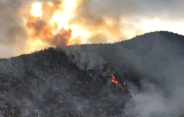 Avanza control de incendios forestales de Doctor Arroyo 3 indenc