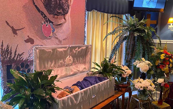 Hombre despide a su perro con un funeral 2 182973146 140624268042196 4894024022720686891 n