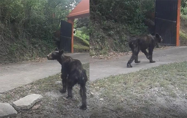 198580593_275489857595856_8644948074165537822_n