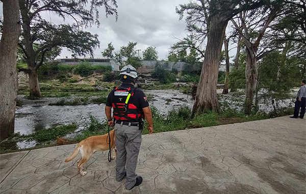 Reanudan búsqueda de desaparecida en el Rio La Silla 1 209202546 364163178472580 9194987488058995526 n