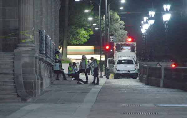 Madroplaza-2