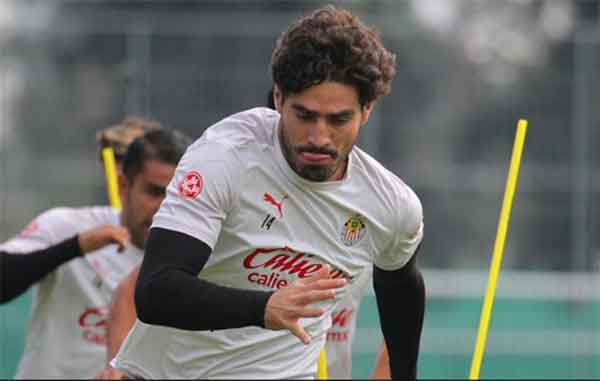 POLLO-BRISENO