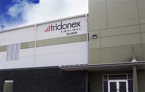 TRIDONEX